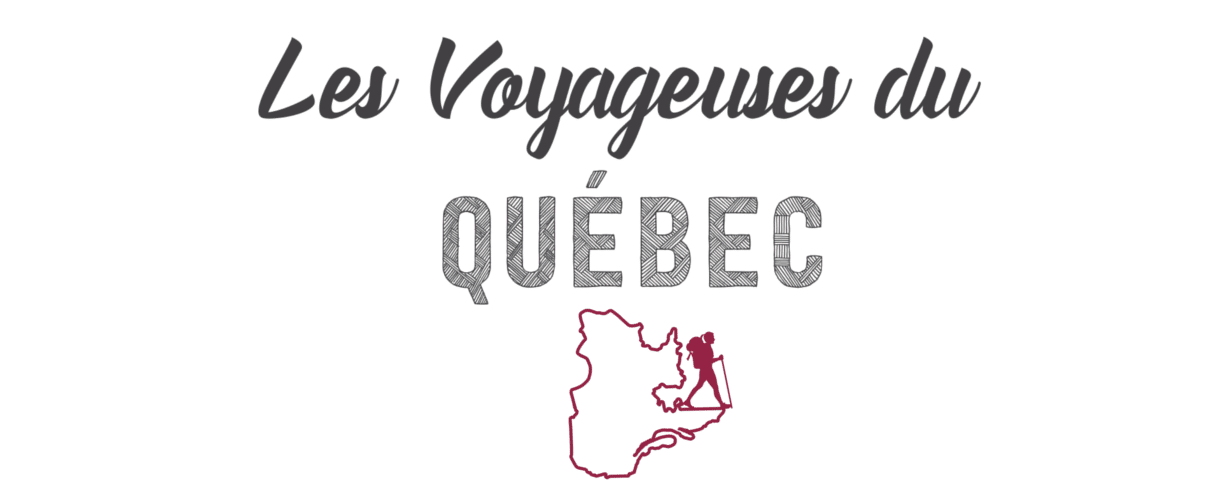 Logo LVDQ
